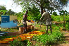 JOURNEE COMMUNAUTAIRE TINBA 26 JUILLET 2024